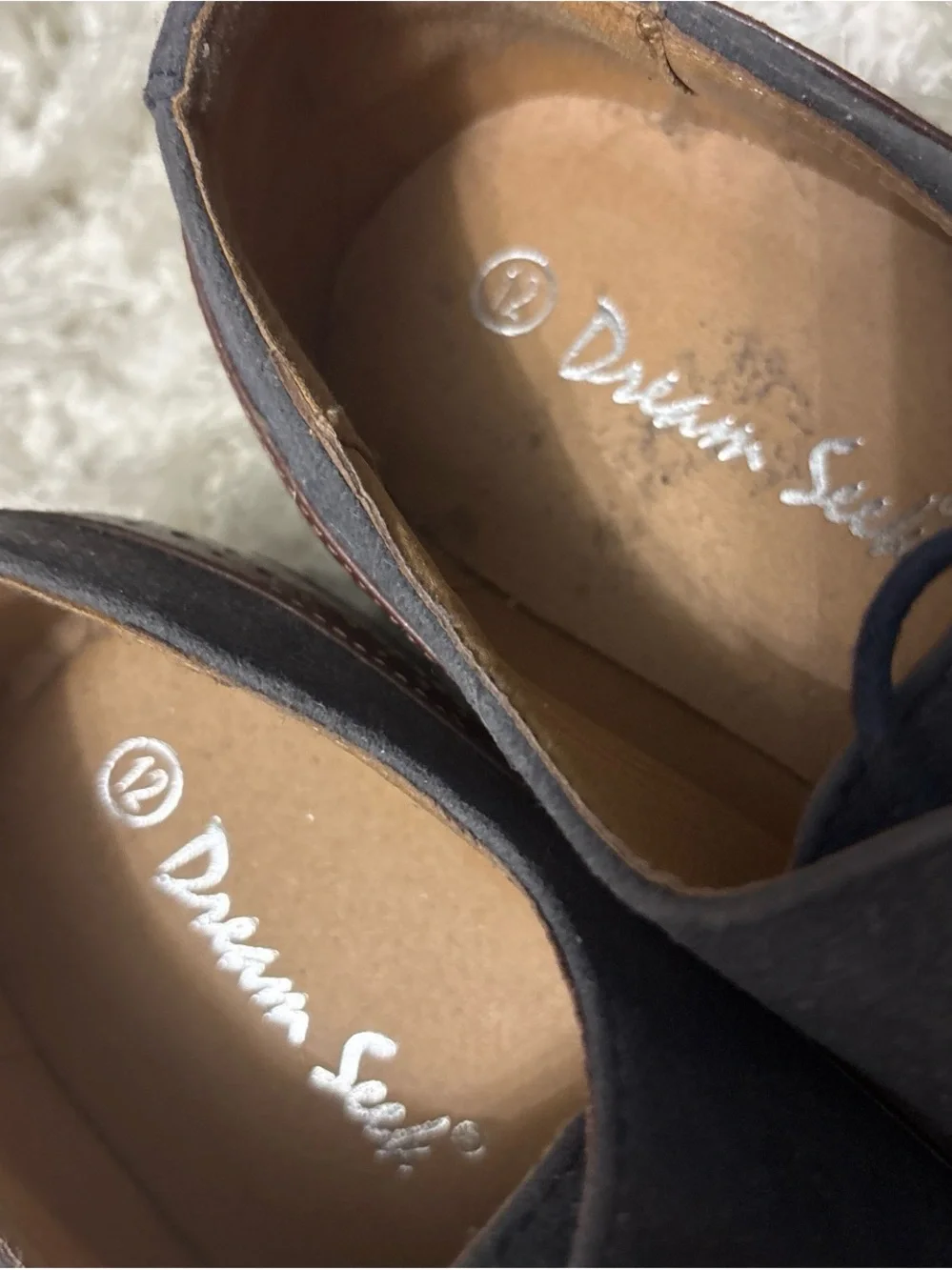 Dream Seek classic dream